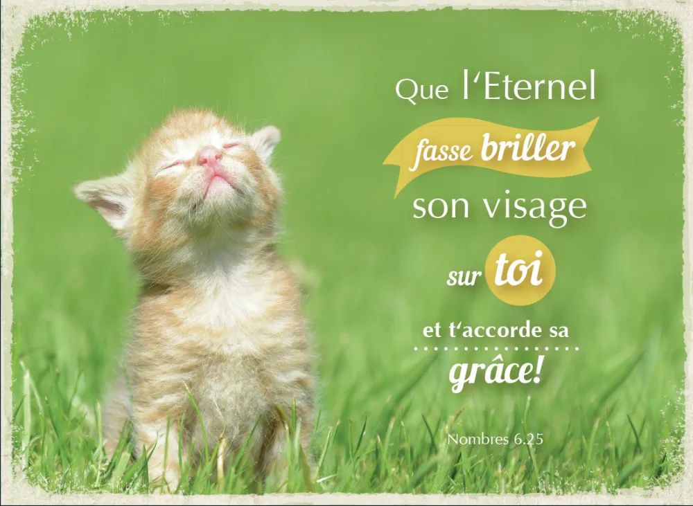 Magnet - Que l'Eternel fasse briller son visage sur toi. NB.6.25