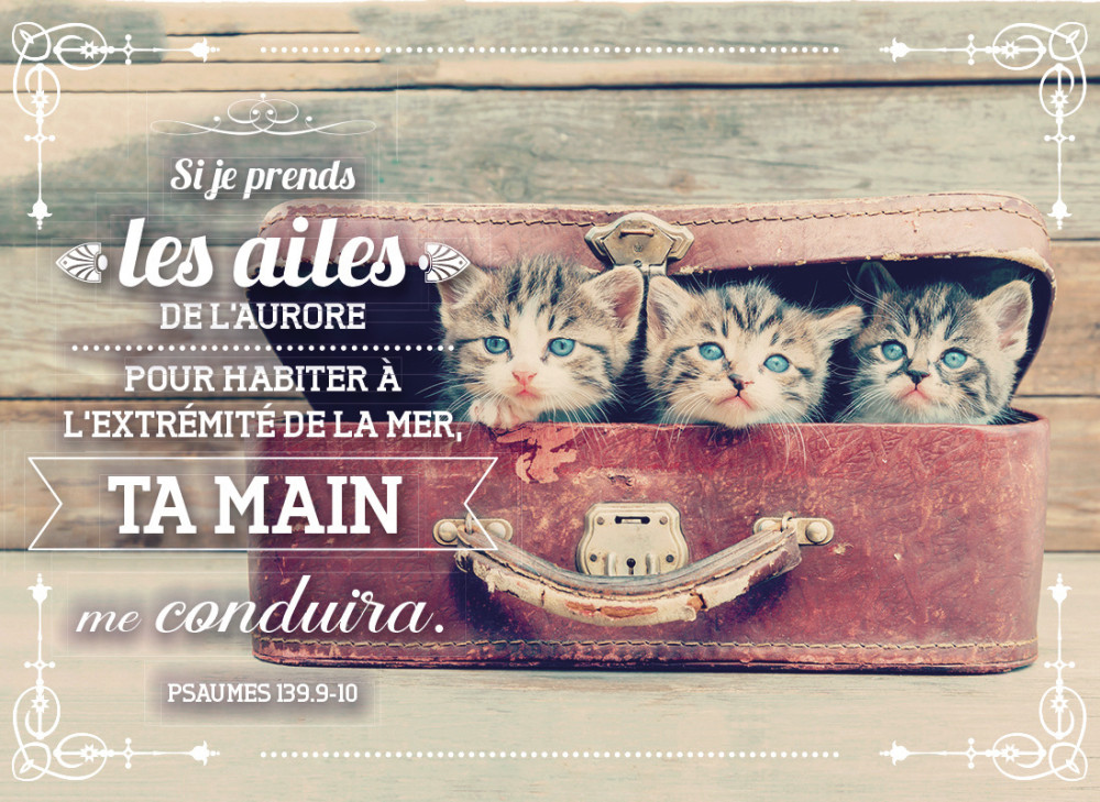 Magnet - Si je prends les ailes de l'aurore PS. 139 9-10