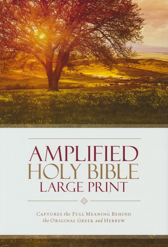 Amplified Bible Large print colour hardcover