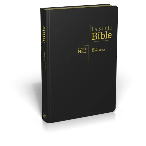 Bible NEG gros caractères souple noir or onglets