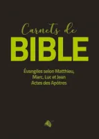 Carnets de Bible - Evangiles selon Matthieu, Marc, Luc, Jean, Actes des apôtres (Segond 1910)