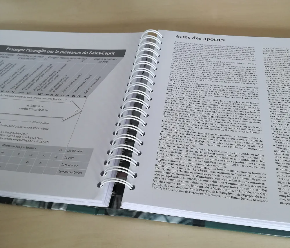 Nouveau Testament en vues panoramiques, Le - SG21