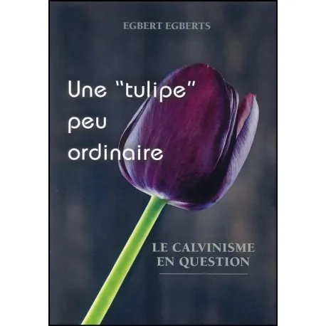 Une tulipe peu ordinaire - Le calvinisme en question