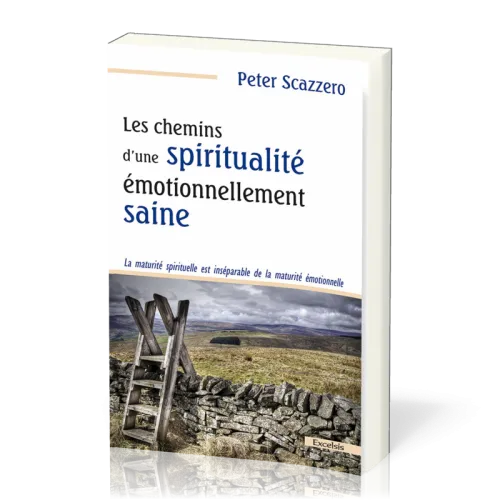 Chemins d’une spiritualité émotionnellement saine, Les