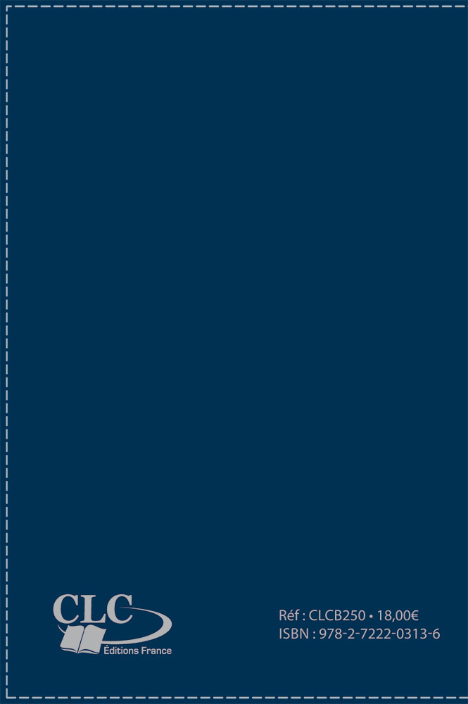 Bible Segond 1910 duo bleu argent