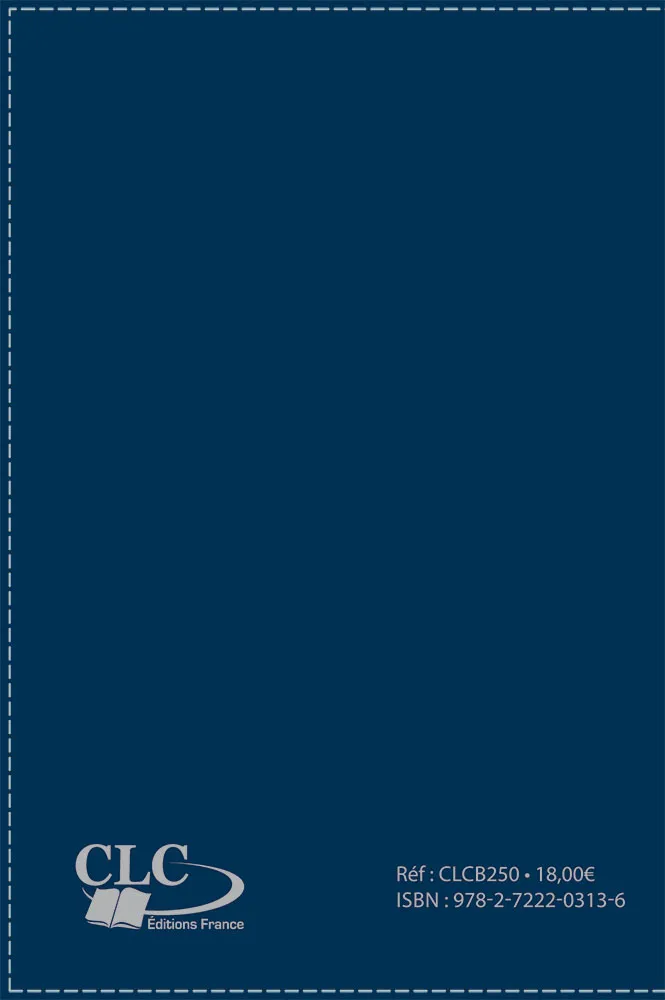 Bible Segond 1910 duo bleu argent