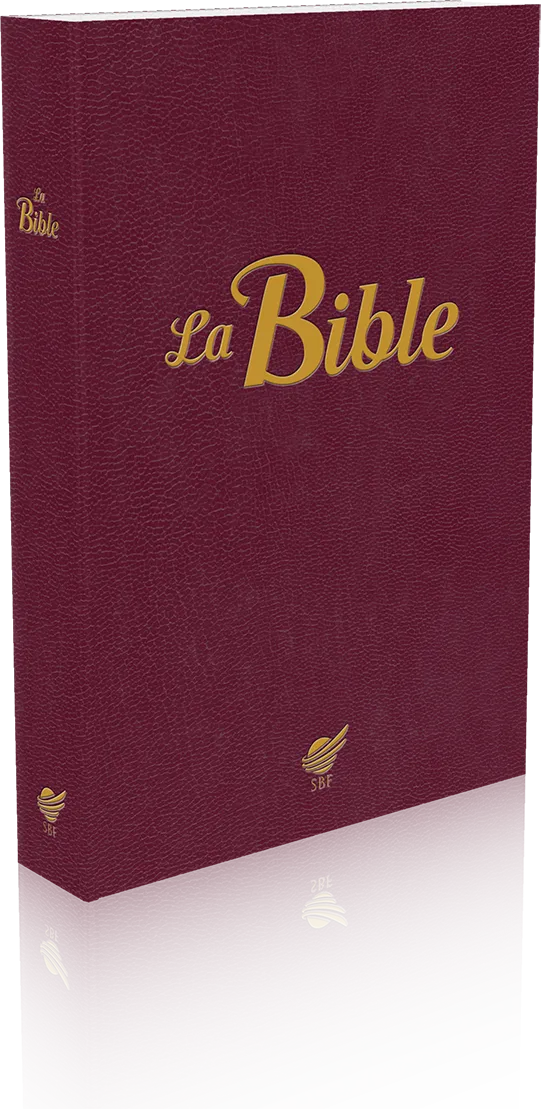 Bible Segond 1910 souple grenat - Paroles de Jésus en rouge