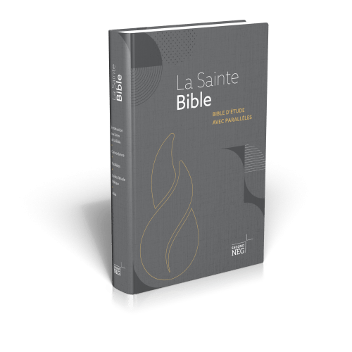 Bible NEG étude parallèles rigide gris