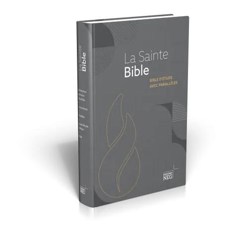 Bible NEG étude parallèles rigide gris