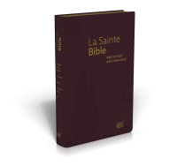 Bible NEG étude parallèles souple rouge or onglets