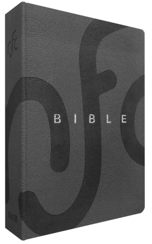 Bible NFC souple gris argent