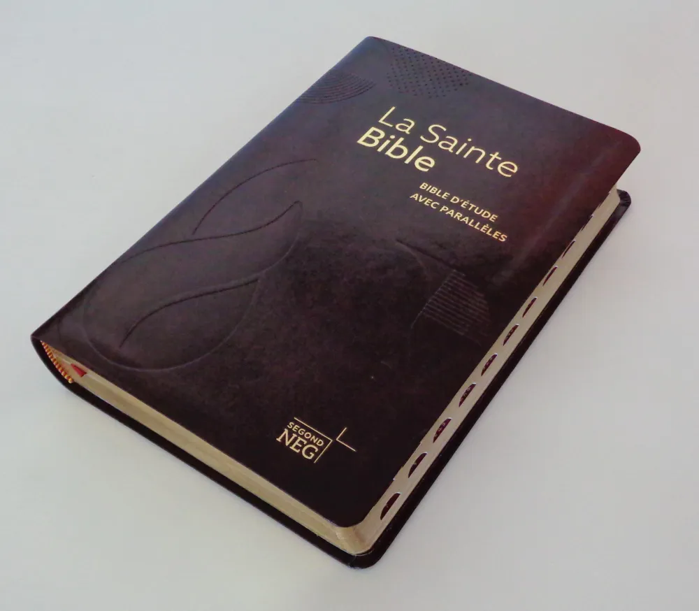 Bible NEG étude parallèles souple rouge or onglets