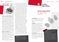 Evangile exposé simplement, L' - aux musulmans et à tous