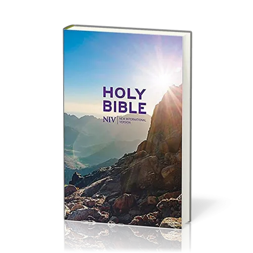 NIV Bible hardcover thin