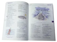 Bible PdV illustrée par Annie Valloton