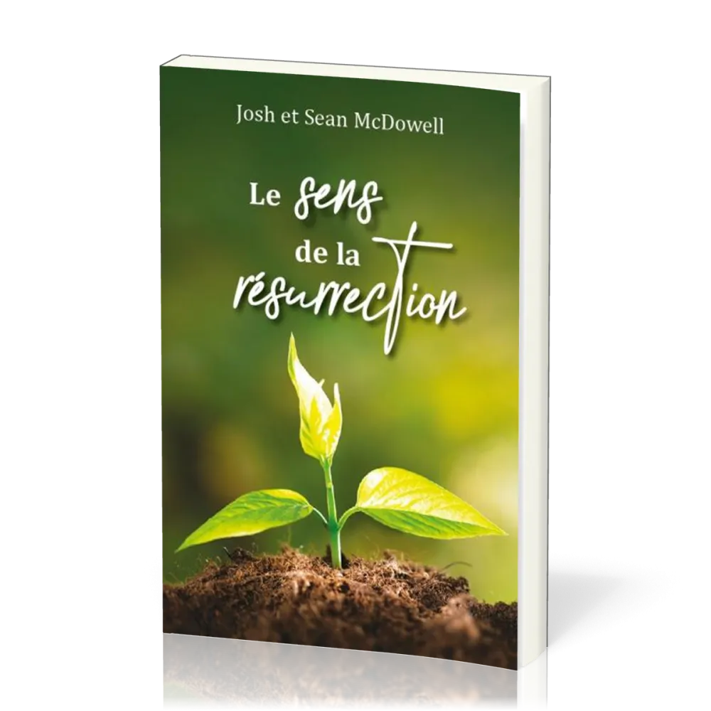 Sens de la résurrection, Le