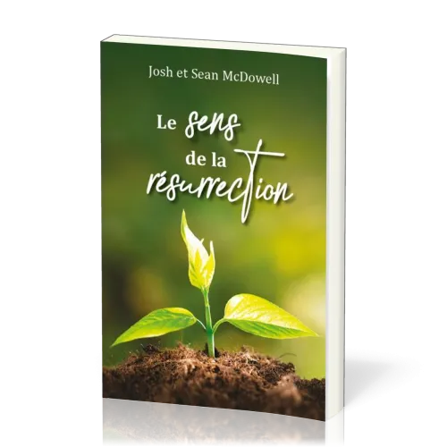 Sens de la résurrection, Le