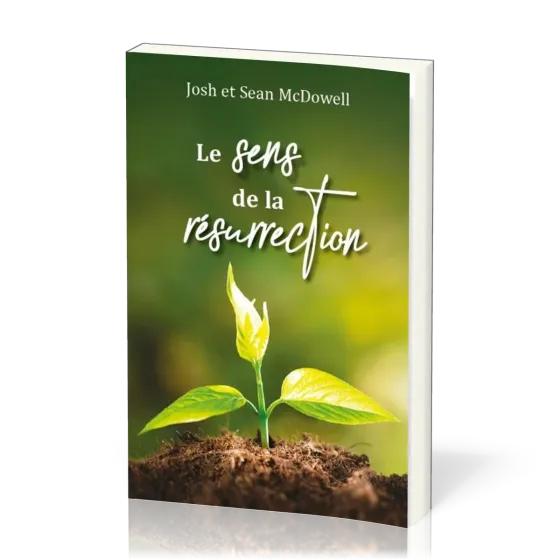 Sens de la résurrection, Le