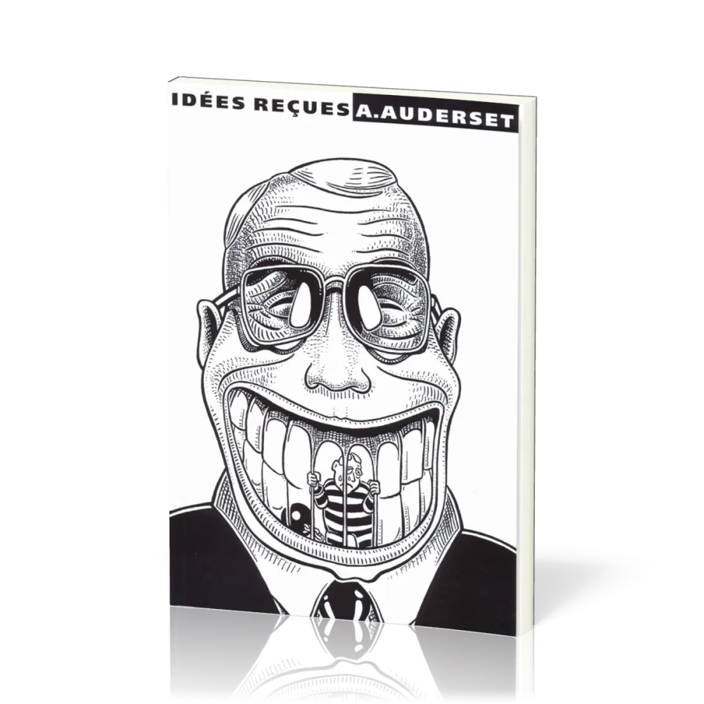 BD Idées reçues I (A5)