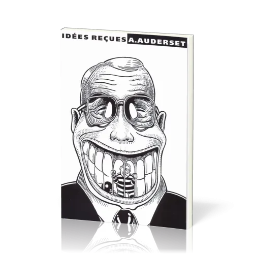 BD Idées reçues I (A5)