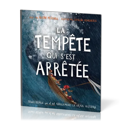 Tempête qui s'est arrêtée, La