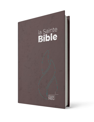 Bible NEG rigide brune