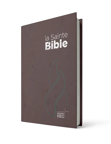 Bible NEG rigide brune