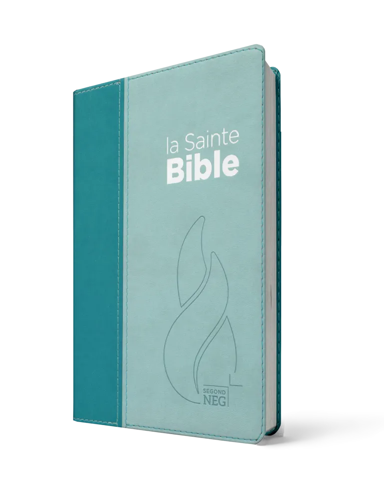 Bible NEG souple duo bleu