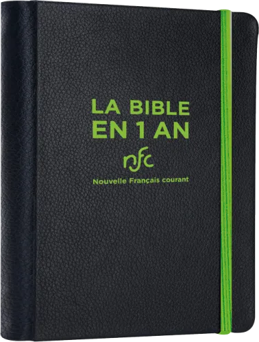 Bible NFC - Bible en 1 an
