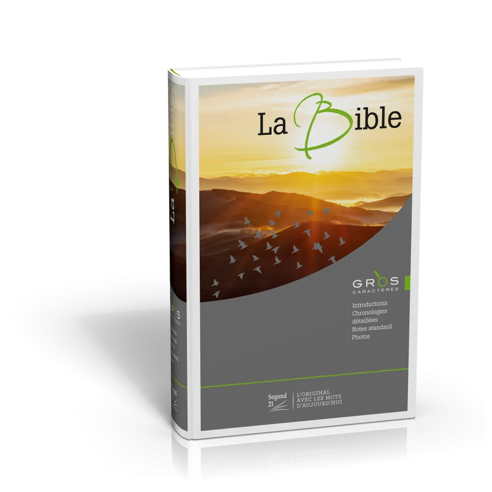 Bible SG21 gros caractères rigide illustrée