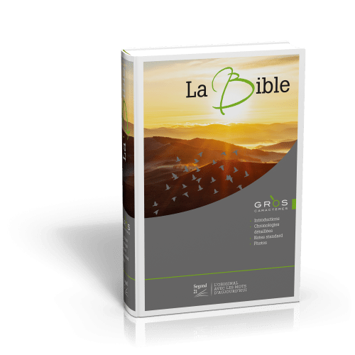 Bible SG21 gros caractères rigide illustrée