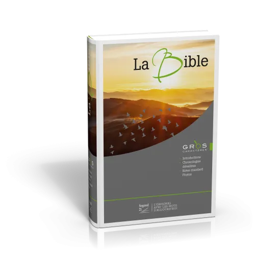 Bible SG21 gros caractères rigide illustrée