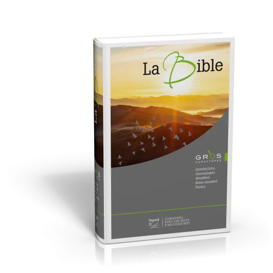 Bible SG21 gros caractères rigide illustrée