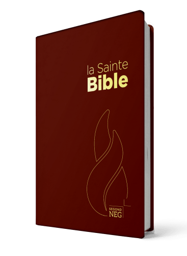 Bible NEG souple grenat