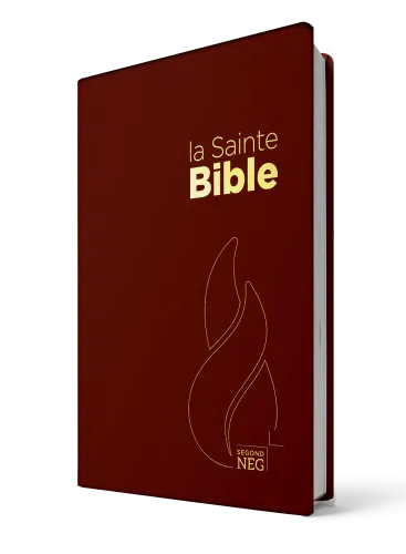Bible NEG souple grenat