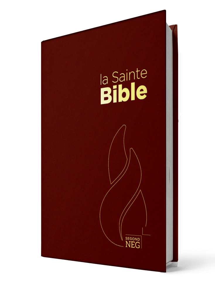 Bible NEG rigide grenat