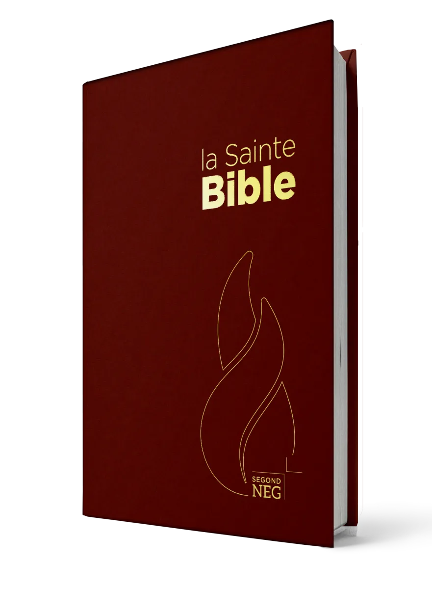 Bible NEG rigide grenat