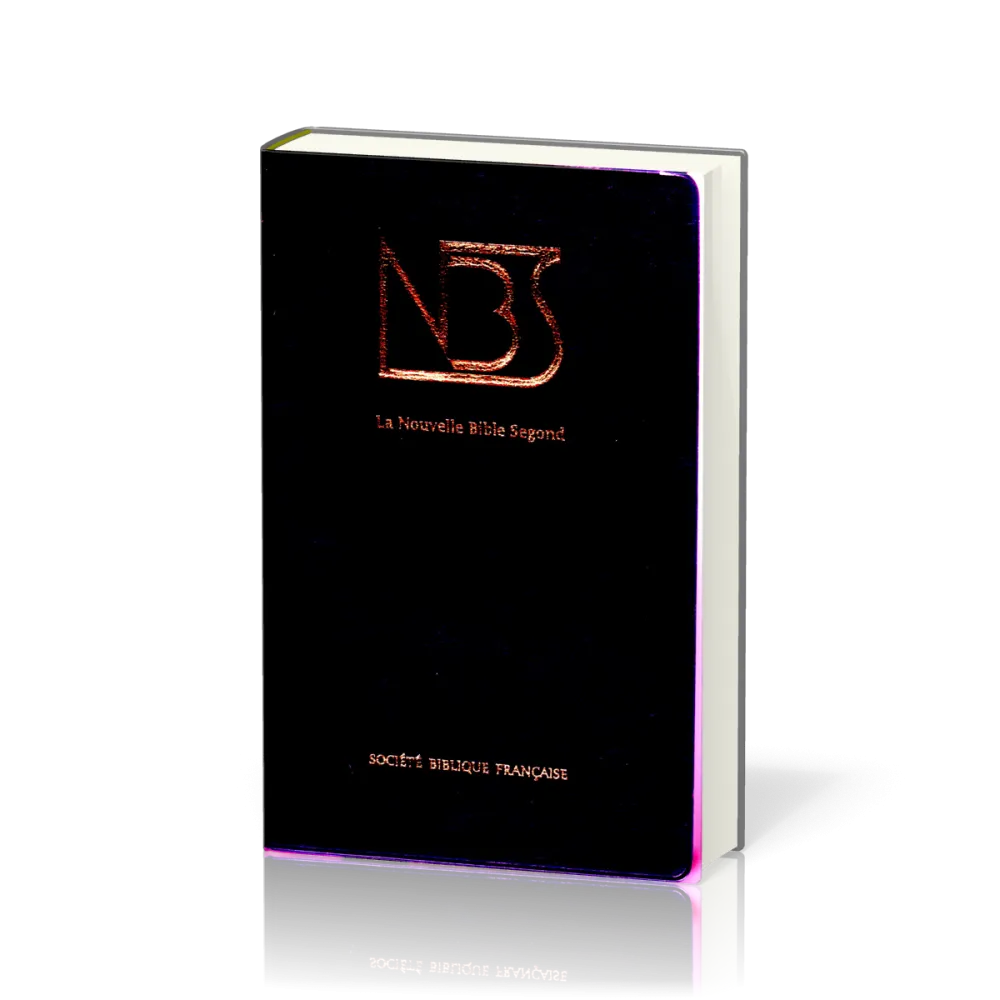 Bible NBS souple gris