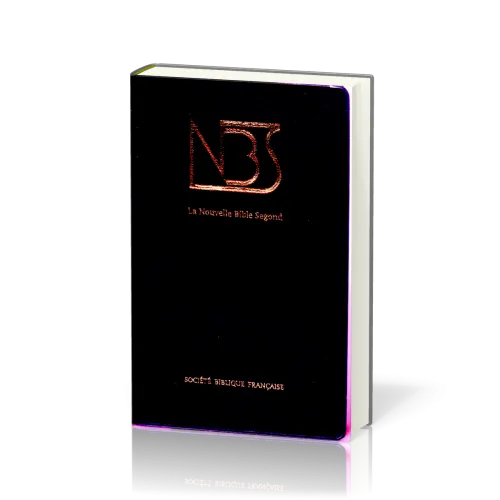 Bible NBS souple gris