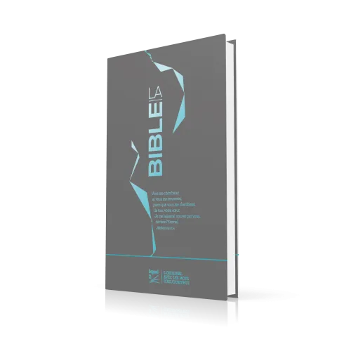 Bible SG21 slim rigide bleu argent
