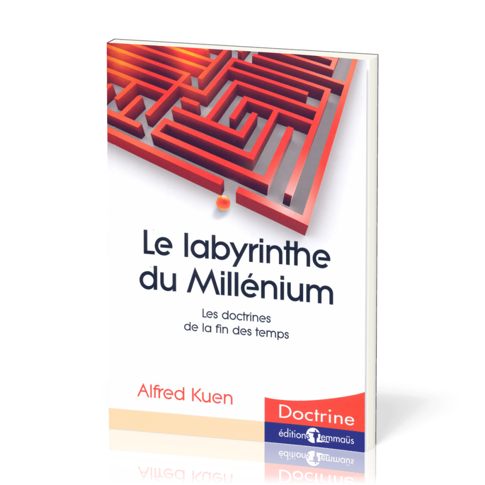 Labyrinthe du Millenium, Le