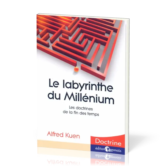 Labyrinthe du Millenium, Le