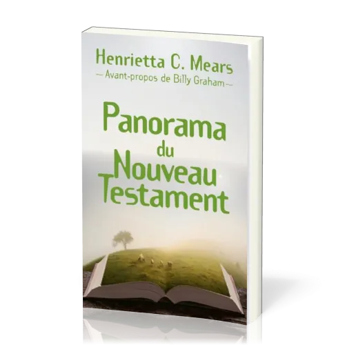 Panorama du Nouveau Testament