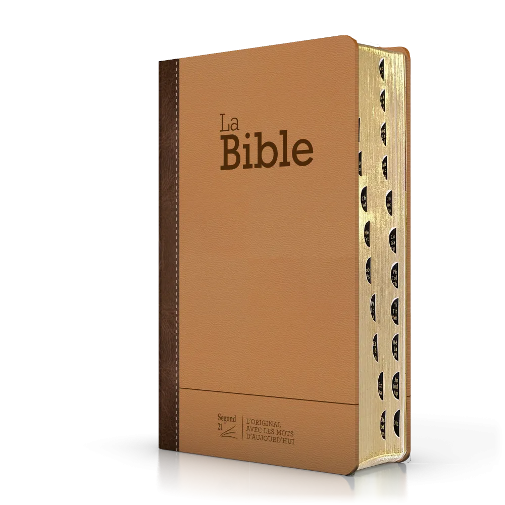 Bible SG21 praliné-chocolat duo cuir rigide or onglets