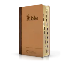 Bible SG21 praliné-chocolat duo cuir rigide or onglets