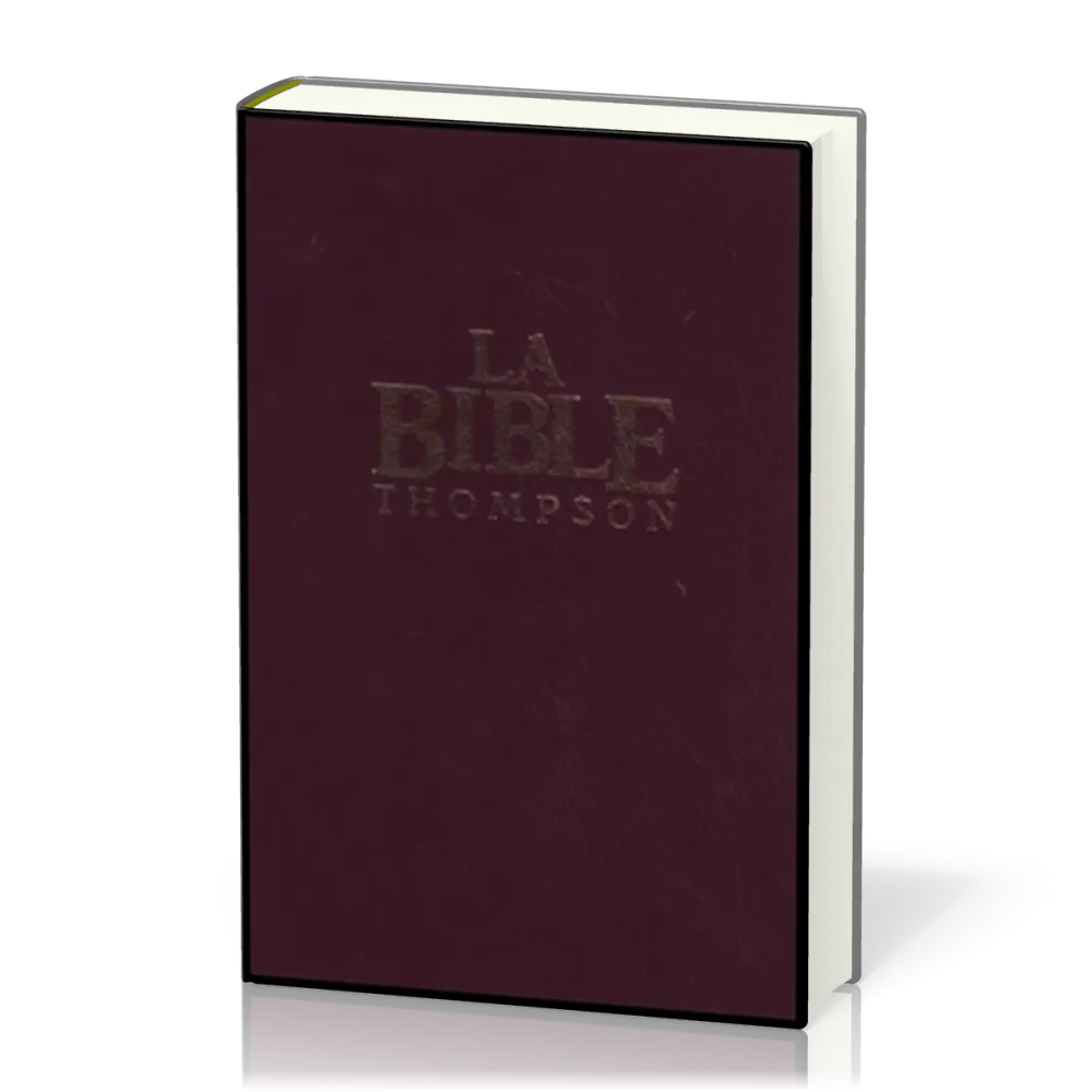 Bible Colombe Thompson rigide grenat