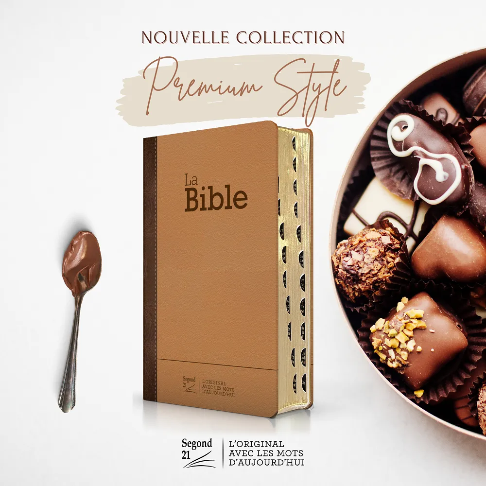 Bible SG21 praliné-chocolat duo cuir rigide or onglets