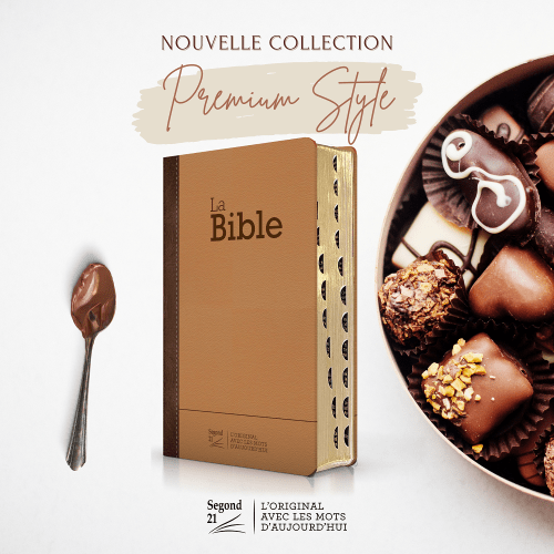 Bible SG21 praliné-chocolat duo cuir rigide or onglets