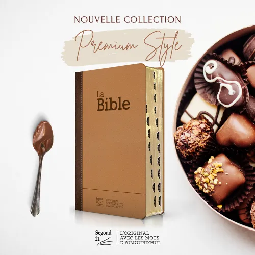 Bible SG21 praliné-chocolat duo cuir rigide or onglets