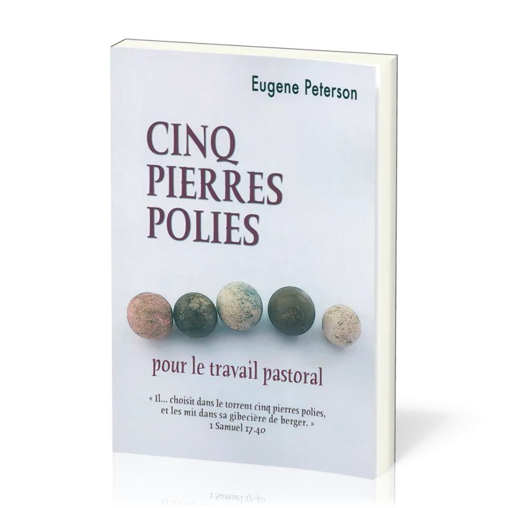 Cinq pierres polies - Pour le travail pastoral